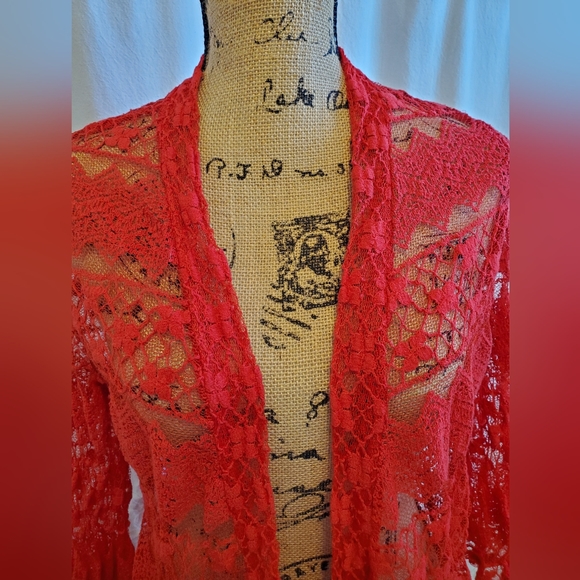 Sheer Red Lace - Picture 7 of 9